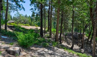 2690 Cheyenne Way, Arnold, CA 95223