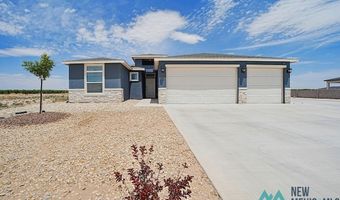 3720 N Pat Garrett Rd, Carlsbad, NM 88220