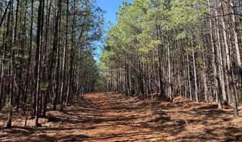 MOUNTAIN CUT RD lot D, Appomattox, VA 24522