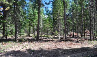 Nna 196 Acres Hwy 95, Bonners Ferry, ID 83805