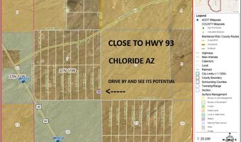308-12 514 N Colorado Rd, Chloride, AZ 86431