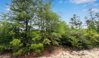 Broadview Avenue, Alford, FL 32420