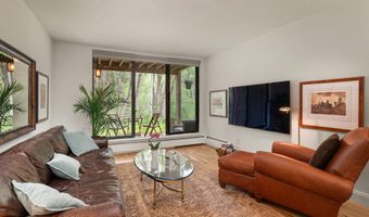 412 Vine St, Aspen, CO 81611