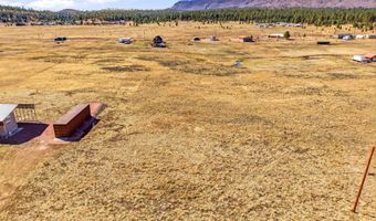 34 County Road 2100, Alpine, AZ 85920
