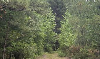 452 Tram Rd, Cades, SC 29518