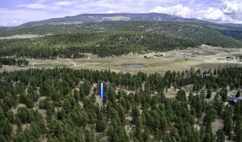 14 Winterwood Ct, Angel Fire, NM 87710