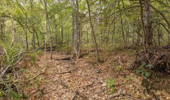 229 County Road 314, Alton, MO 65606