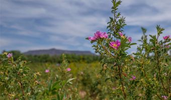 PURPLE ADOBE LAVENDER FARM 25 Private Drive 1622, Abiquiu, NM 87510