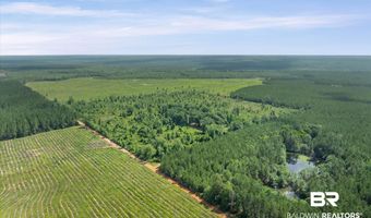 Green Town Road, Bay Minette, AL 36507