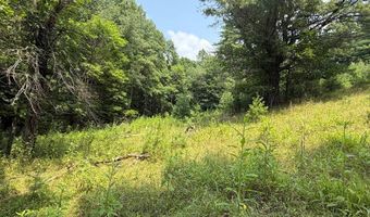 Hall Hollow Road, Austinville, VA 24312