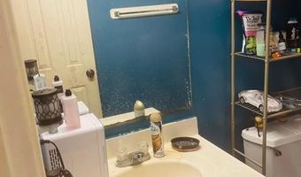 438 Alma Ave, Alamo, TX 78516