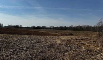 915 Grubbs Rd (Hickman Co. KY 60-without house), Clinton, KY 42031