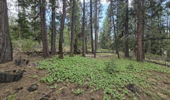 Yak Lane, Bonanza, OR 97623