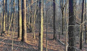 00007 SPRINGHOLLOW Rd Lot 7, Ashville, AL 35953