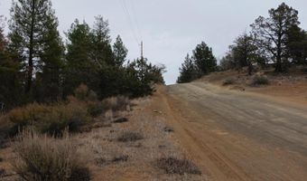 Moccasin Lane Lot 12 Block 50, Chiloquin, OR 97624