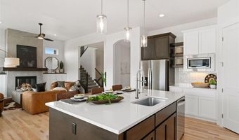 3691 N Buchanan Ct, Aurora, CO 80019