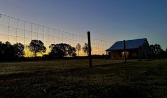 447 CR 215, Abbeville, MS 38601