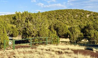 37 Co Rd N8174 10.1 Acres, Concho, AZ 85924