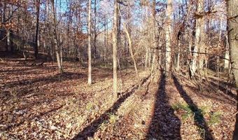 BLACKJACK ROAD lot 0, Argo, AL 35173