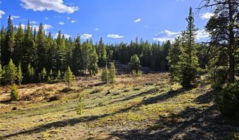 PCS # 7765 & 12057 Rollies Trail lot 0, Alma, CO 80420
