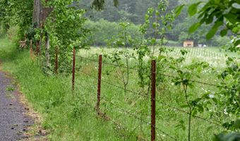 NE 389th St, Amboy, WA 98601