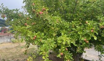 98620 CAMELLIA Dr, Brookings, OR 97415