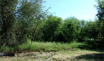 2007 Hermosillo Ave, Alton, TX 78572