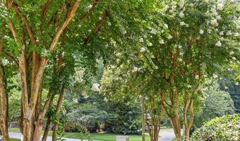 1562 Pecan Ave, Charlotte, NC 28205