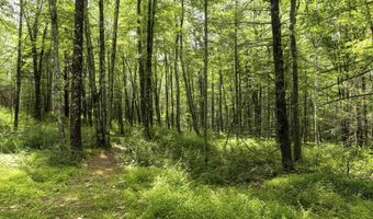 154 Lang Rd, Accord, NY 12404