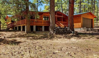 20 County Rd N2120, Alpine, AZ 85920