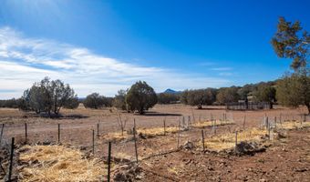 Raz Road lot 102, Ash Fork, AZ 86046
