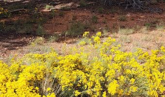 912 Westwood Rnch, Ash Fork, AZ 86320