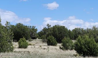 12 B Juniperwood Rnch, Ash Fork, AZ 86320