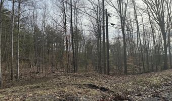 Lot 1 Rt. 1 Muddy Creek Mountain, Alderson, WV 24910