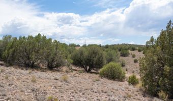 14 Xx W Bison Hunt Way, Chino Valley, AZ 86323