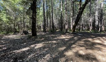 Agness-Illahe Rd, Agness, OR 97406