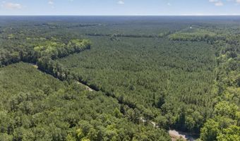 82 Acres Point Caswell Rd, Atkinson, NC 28421