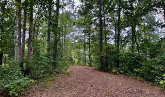 158 Fisher Turnpike Rd Lot 3, Arapahoe, NC 28510