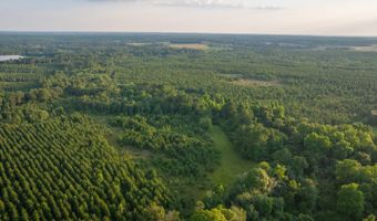 Mann Road 2, Arabi, GA 31712