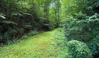 1107 Panther Crk, Almond, NC 28771
