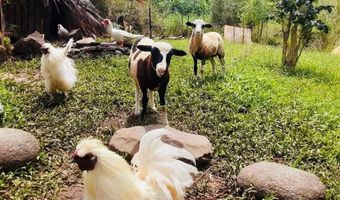 7953 Hana Hwy, Haiku, HI 96708