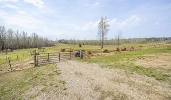 1896 PURDY BEAUTY HILL Rd, Bethel Springs, TN 38315