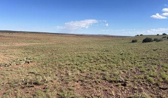 1342 County Road 5020, Concho, AZ 85924