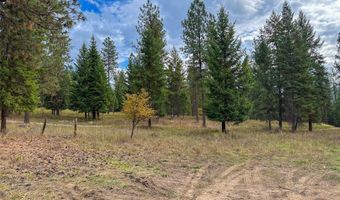 Nhn Harlow Road, Thompson Falls, MT 59873