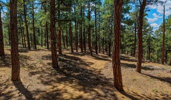 23251 Elk Trl, Aguilar, CO 81020