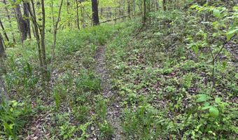 7046 S State Road 145, Birdseye, IN 47513