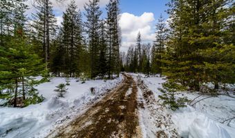 NNA Timber Ridge Trail, Clark Fork, ID 83811