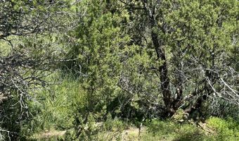 132 E Cedar Road Rd, Capitan, NM 88316