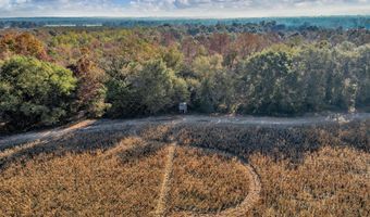 0 County Road 127, Banks, AL 36005
