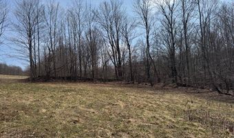 Lot 2 Doig Hollow Road, Andes, NY 13731